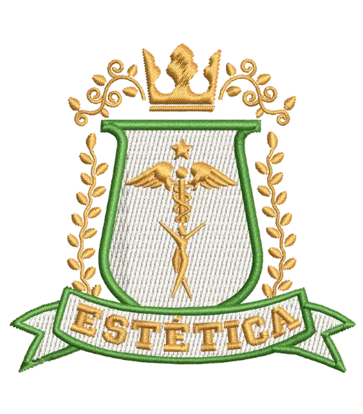 Matriz de Bordado Curso Estetica